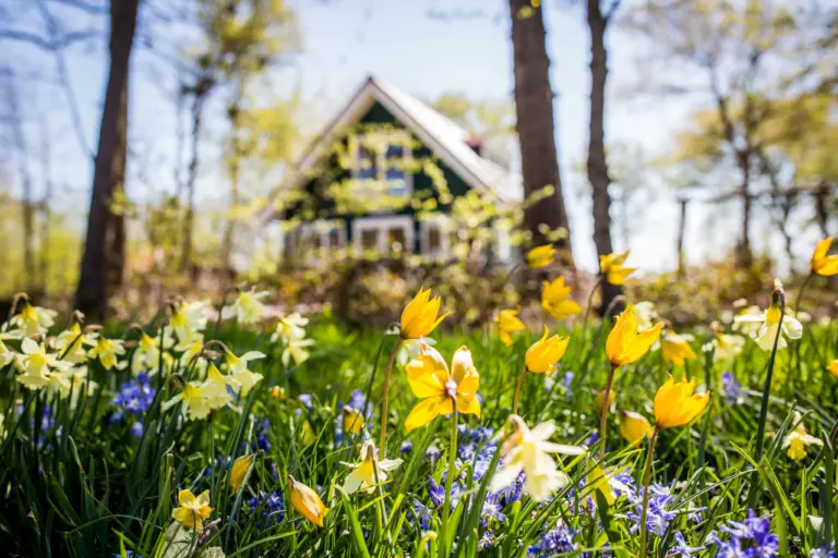 Vakantiehuis Kijkduin Midsland Noord Terschelling