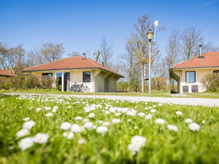 Grasveld met margrietjes natuurvriendelijk beheer Villabungalow houtkachel whirlpool Tjermelan Terschelling