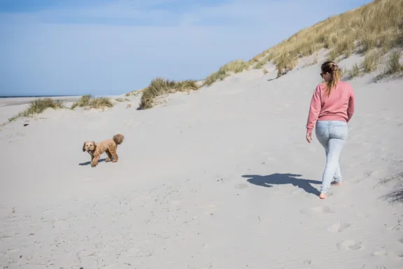 Huisje Terschelling met hond